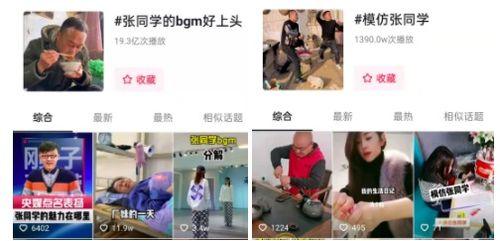 爆料张同学抖音视频收入,揭秘网红经济背后的惊人数字  第2张