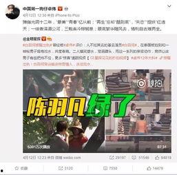 紫兰花技能爆料视频播放,视频爆料带你领略绝美特效与强大实力  第2张