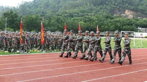 爆料网军训跳舞视频在线观看,揭秘网爆军训跳舞视频