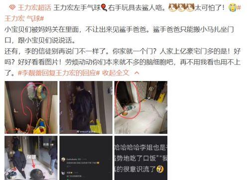 爆料王力宏小视频在线观看,在线观看引发热议  第2张