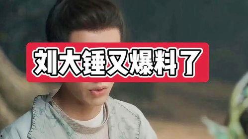 刘大锤今日直播爆料,今日热点事件幕后真相  第2张