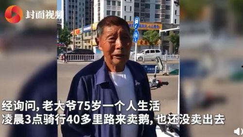 老冯爆料老马视频大全,老马视频大全背后的精彩故事  第2张
